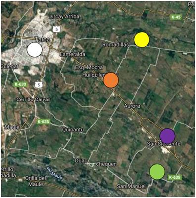 Psychometric Validation of a Questionnaire to Assess Perception and Knowledge About Exposure to Pesticides in Rural Schoolchildren of Maule, Chile